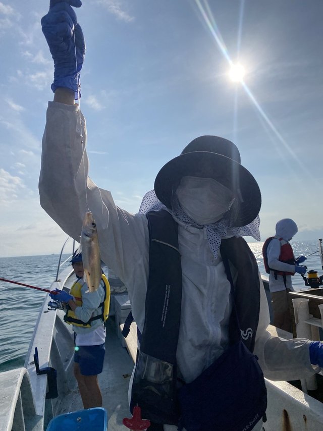 シロギス