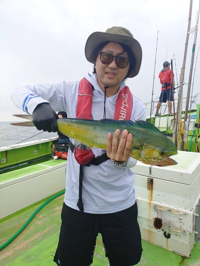 シイラ