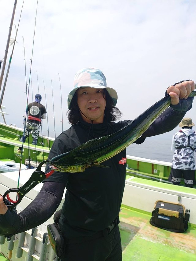 シイラ