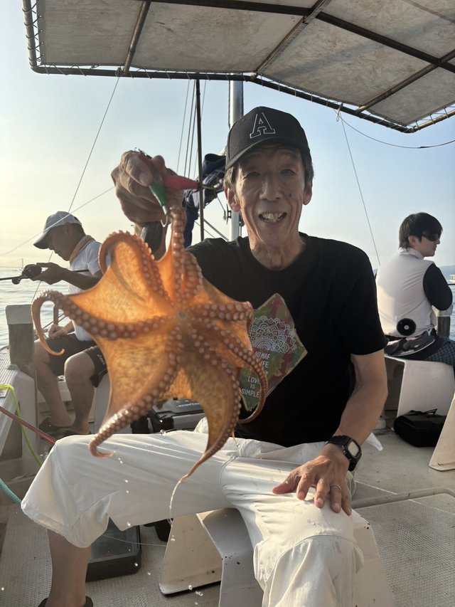 マダコ