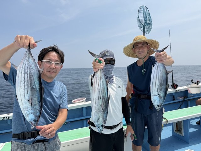 カツオ