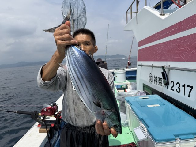 カツオ