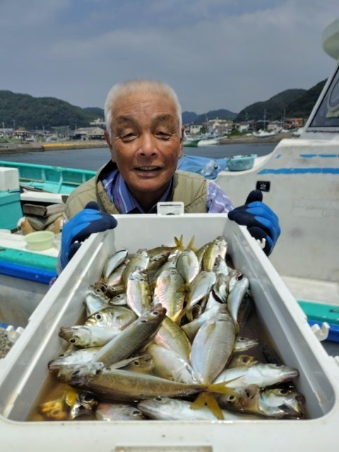 アジ(マアジ)