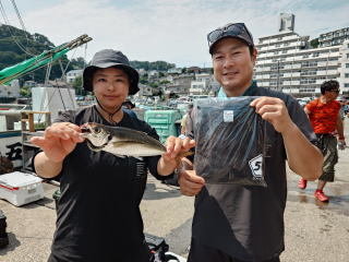 アジ(マアジ)