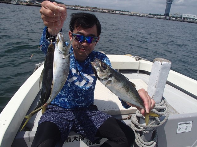 アジ(マアジ)