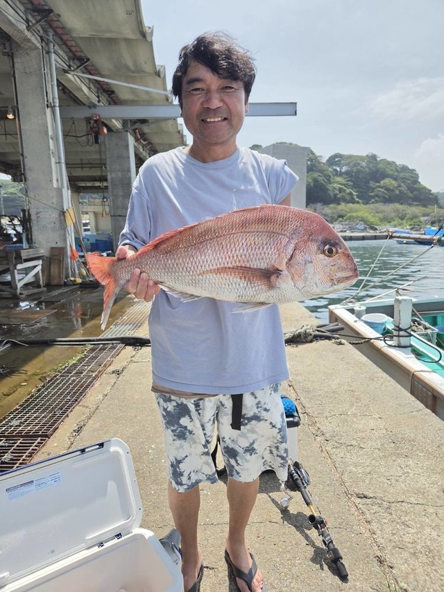 マダイ