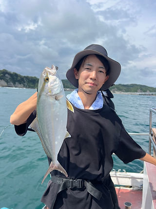 ナンヨウカイワリ