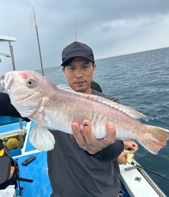 シロアマダイ