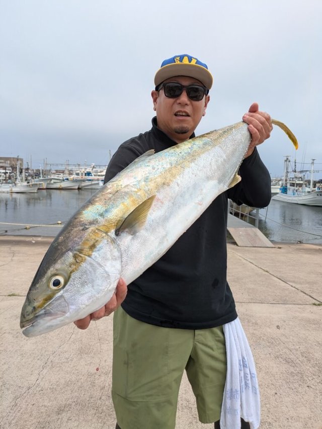 ヒラマサ
