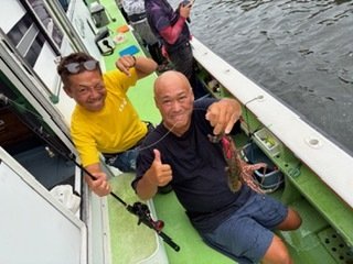 マダコ