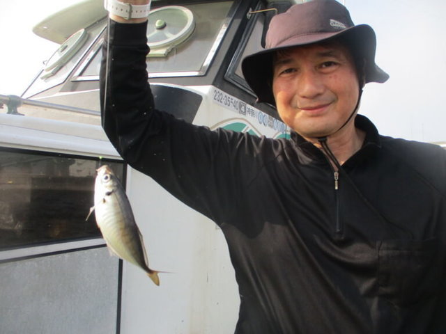 アジ(マアジ)