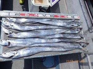 タチウオ