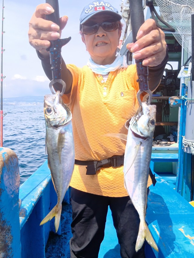アジ(マアジ)
