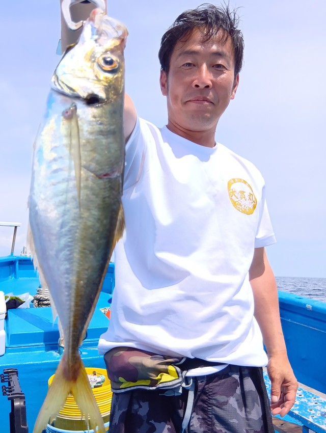 アジ(マアジ)