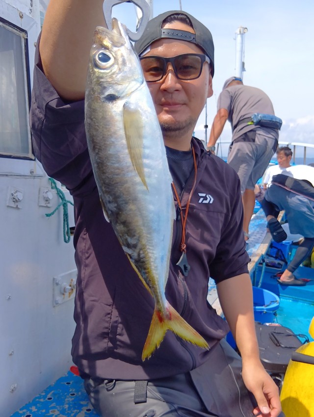 アジ(マアジ)