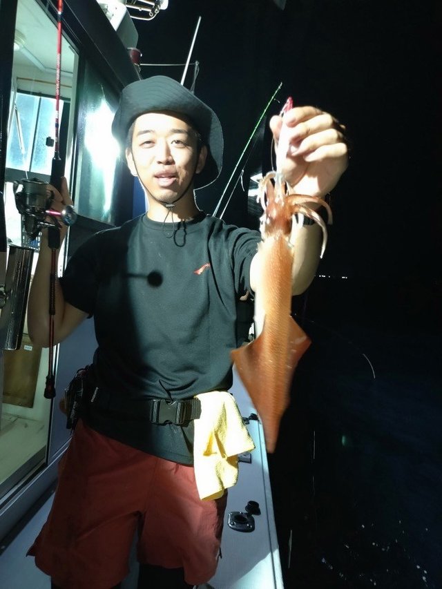 ケンサキイカ