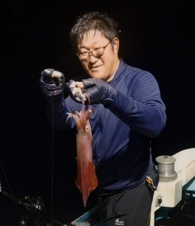 ヤリイカ