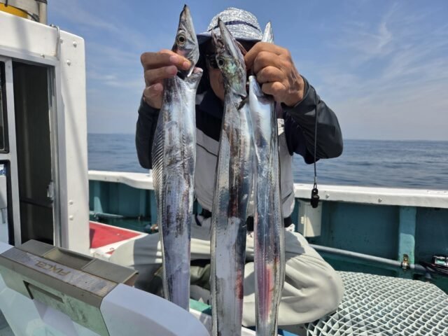 タチウオ