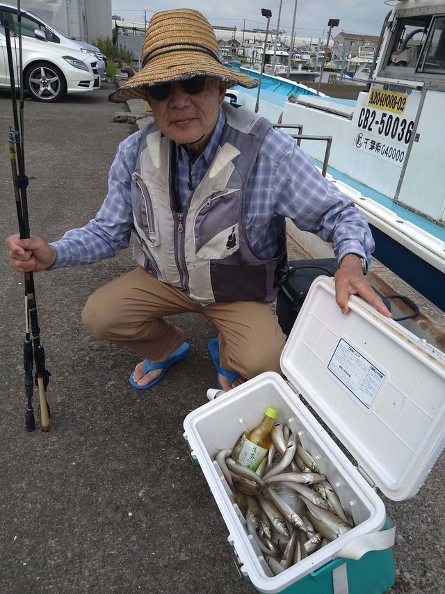 シロギス