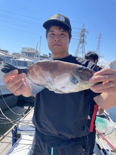ウマヅラ(ウマヅラハギ)