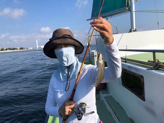 シロギス