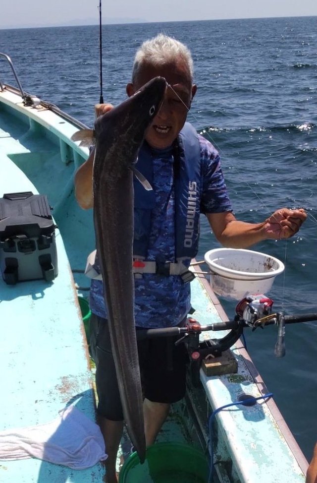 クロアナゴ