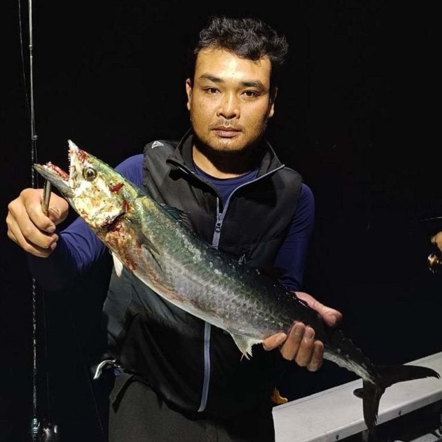 サワラ