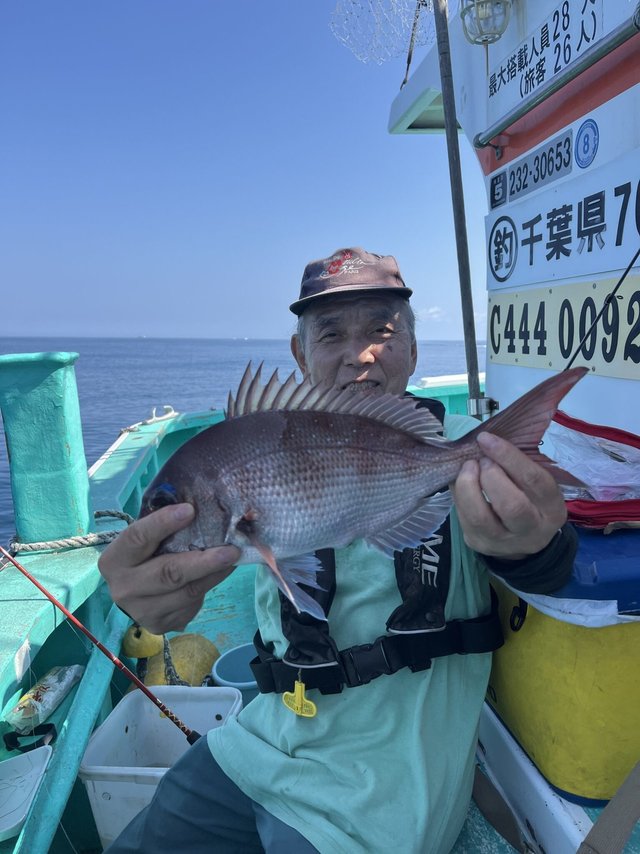 マダイ