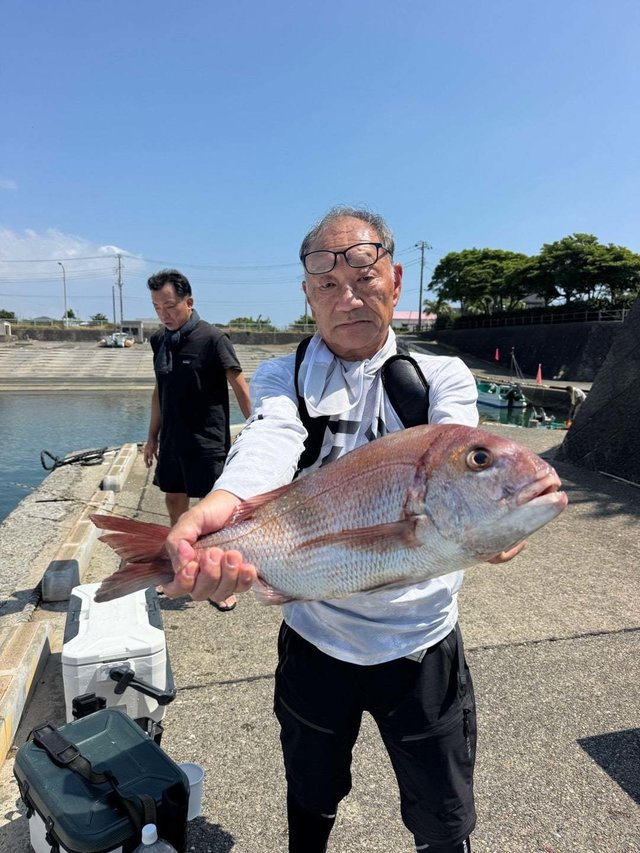 マダイ