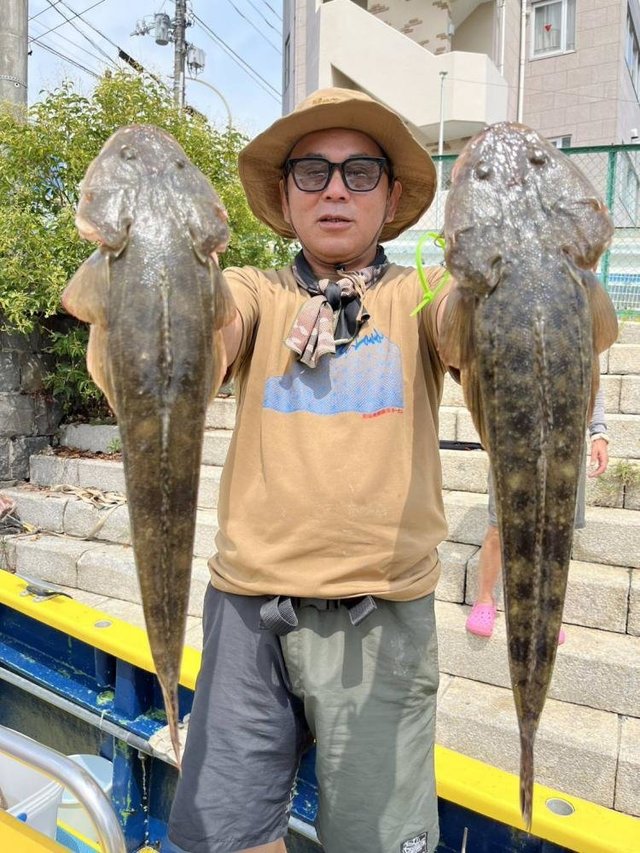マゴチ