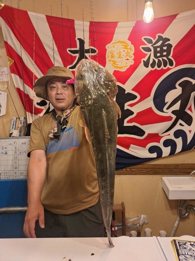 マゴチ