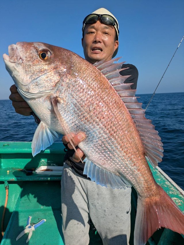 マダイ