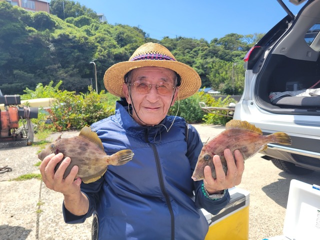 カワハギ