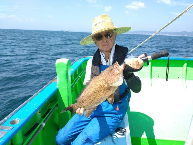 オオモンハタ
