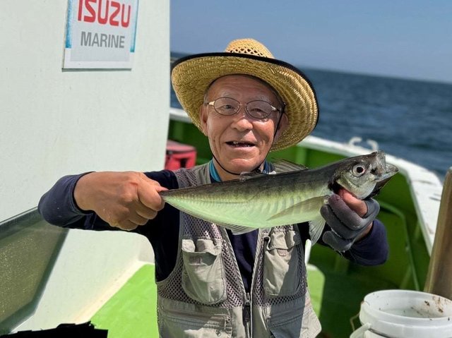 アジ(マアジ)