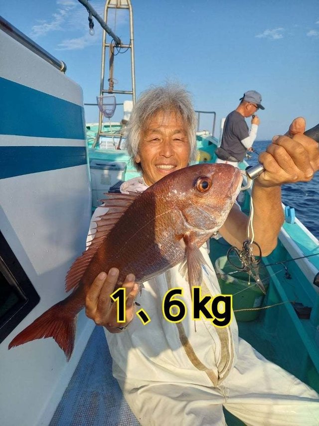 マダイ