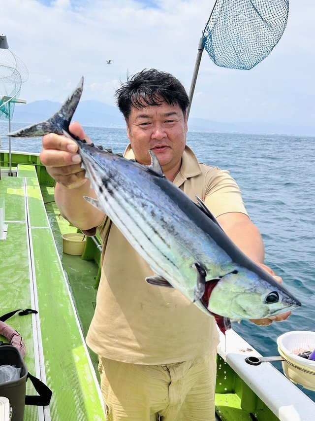 カツオ