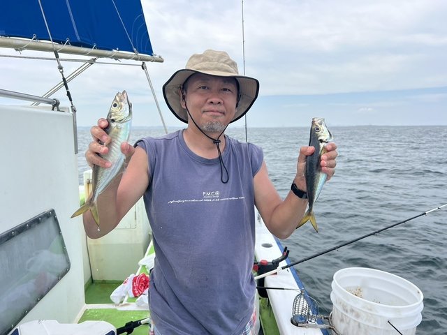 アジ(マアジ)