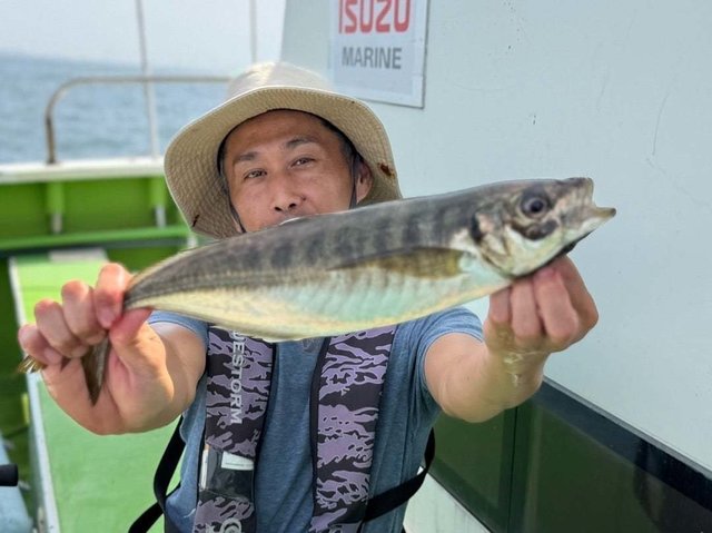 アジ(マアジ)