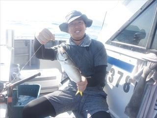アジ(マアジ)
