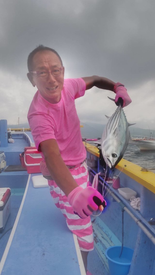 カツオ