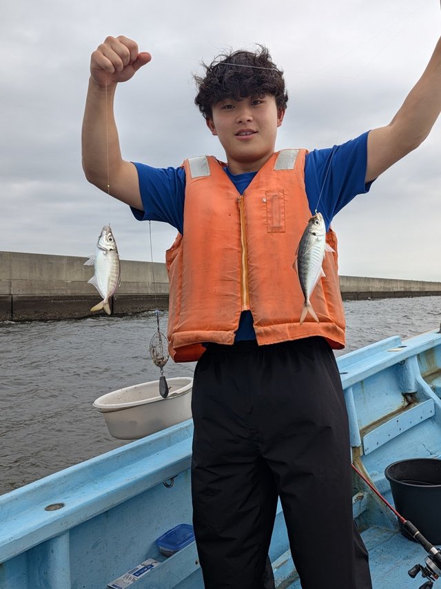 アジ(マアジ)