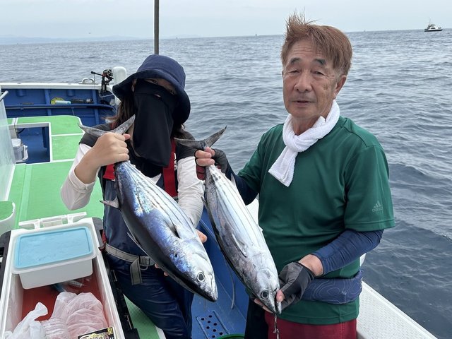 カツオ