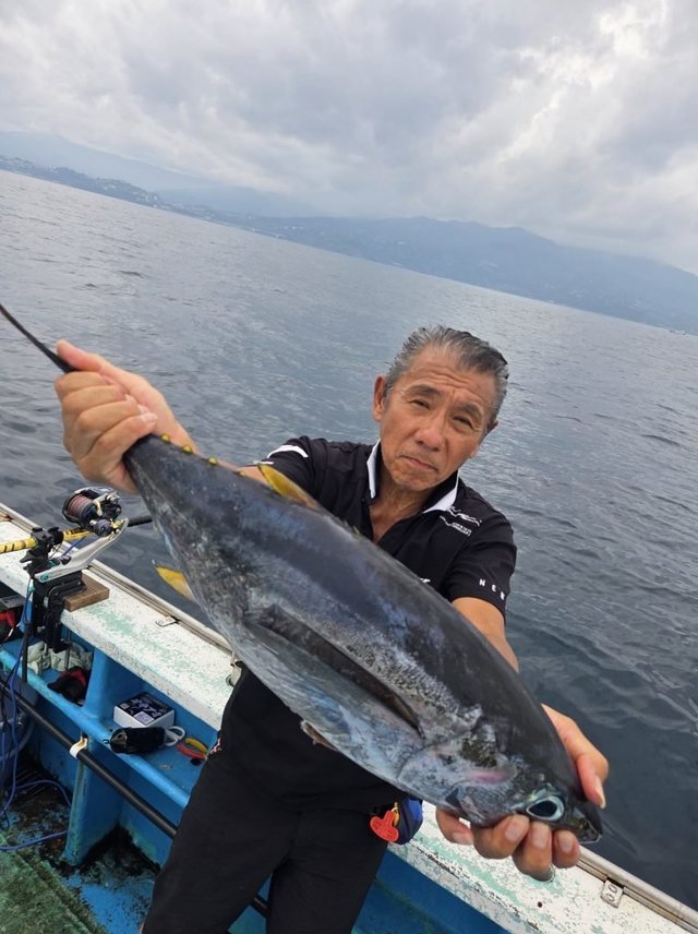 キメジ(キハダ)