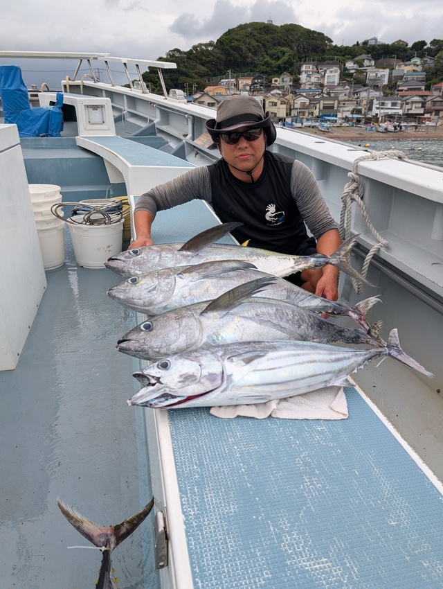 キメジ(キハダ)・ホンガツオ(カツオ)