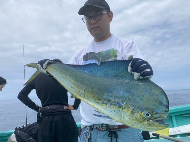 シイラ
