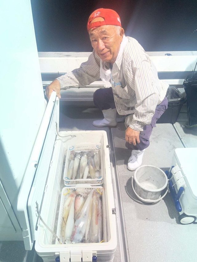 ヤリイカ