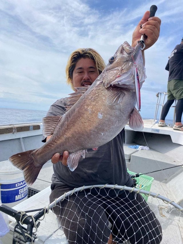 アラ