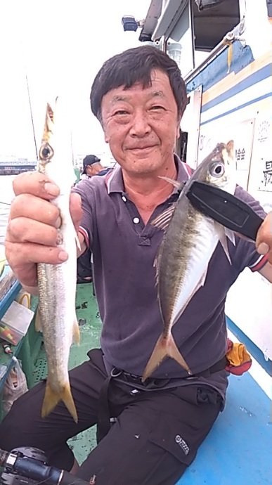 アジ(マアジ)・カマス(アカカマス)