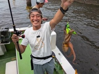 マダコ